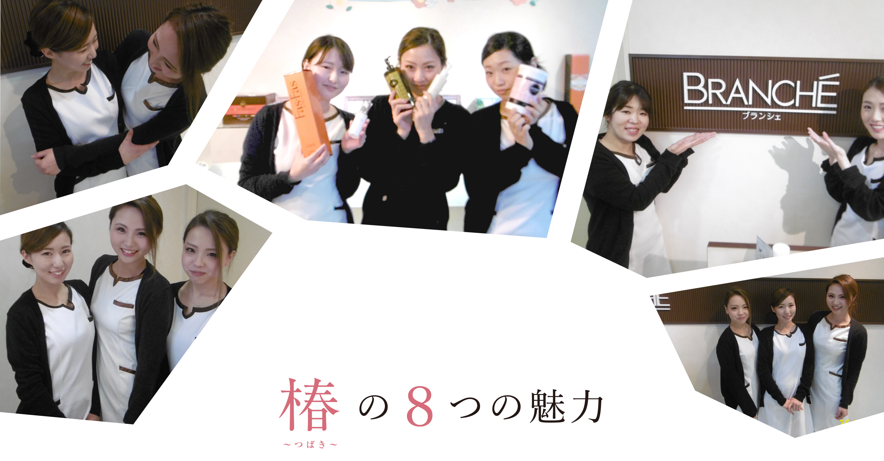 椿の8つの魅力